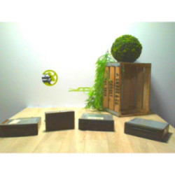 Autoradio d'origine RENAULT LAGUNA 2 PHASE 1 d’occasion