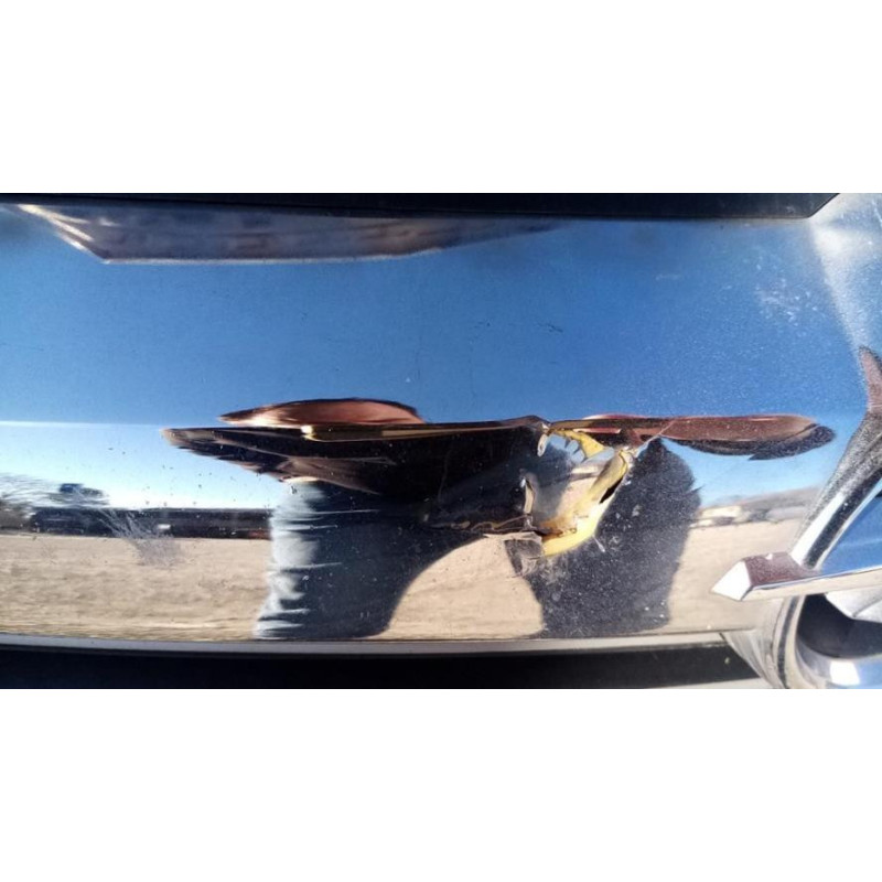 Baie de pare brise OPEL ASTRA H PHASE 2 d’occasion