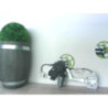 Leve vitre electrique arriere droit MAZDA 2 2 PHASE 1 d’occasion