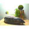 Optique avant principal droit (feux)(phare) MAZDA  d’occasion