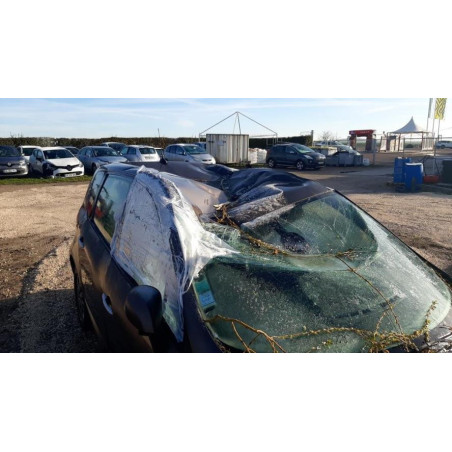Capot RENAULT SCENIC 3 PHASE 1 d’occasion