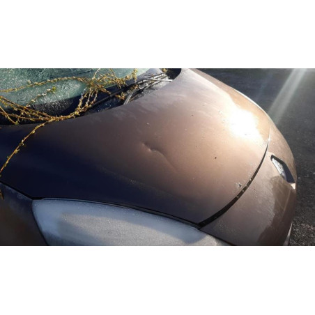 Capot RENAULT SCENIC 3 PHASE 1 d’occasion