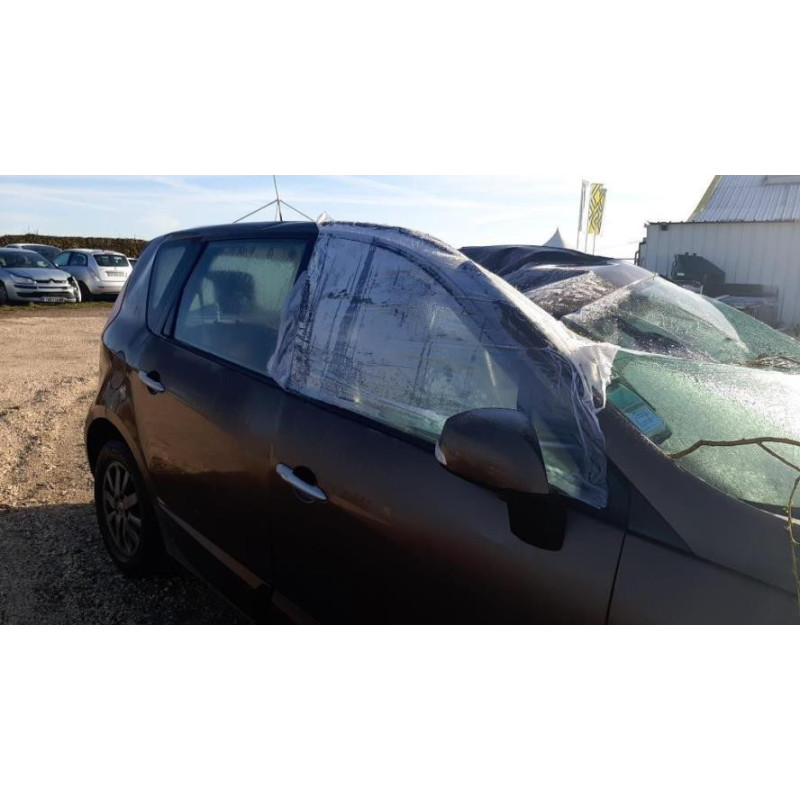 Capot RENAULT SCENIC 3 PHASE 1 d’occasion