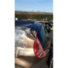 Capot RENAULT SCENIC 3 PHASE 1 d’occasion