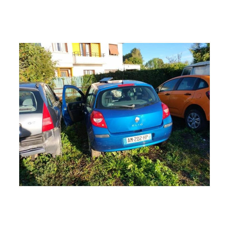 Poignee interieur arriere gauche RENAULT CLIO 3 PHASE 1 d’occasion