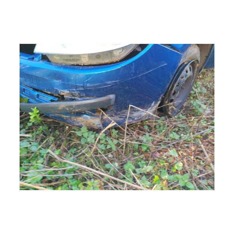 Poignee interieur arriere gauche RENAULT CLIO 3 PHASE 1 d’occasion