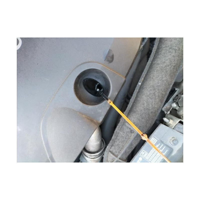 Poignee interieur arriere gauche RENAULT CLIO 3 PHASE 1 d’occasion