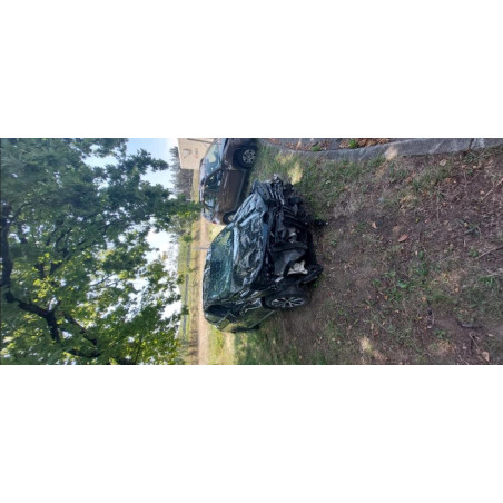 Tirant de porte arriere gauche RENAULT CLIO 5 d’occasion