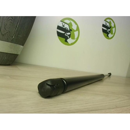 Verin de coffre RENAULT SCENIC 1 PHASE 1 d’occasion
