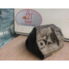 Support moteur RENAULT CLIO III PHASE 1 d’occasion