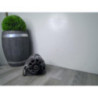 Alternateur RENAULT CLIO 1 PHASE 3 d’occasion