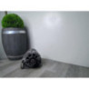 Alternateur RENAULT CLIO 1 PHASE 3 d’occasion