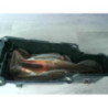 Reservoir CITROEN C4 GRAND PICASSO 1 d’occasion