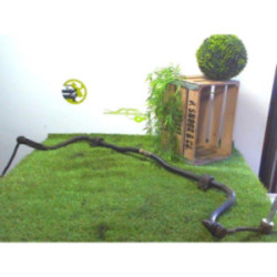 Barre stabilisatrice PEUGEOT 407 PHASE 1 d’occasion