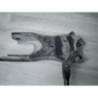 Bras oscillant avant gauche MAZDA B2200 d’occasion