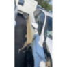 Neiman CITROEN C4 2 PHASE 1 d’occasion