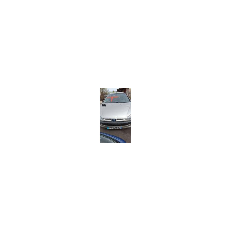 Poignee hayon PEUGEOT 206 PHASE 2 d’occasion