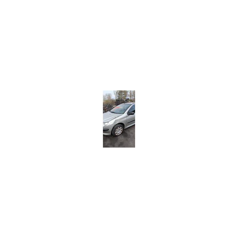 Poignee hayon PEUGEOT 206 PHASE 2 d’occasion