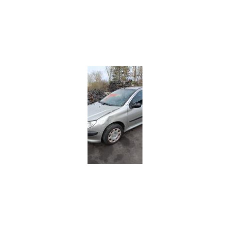 Poignee hayon PEUGEOT 206 PHASE 2 d’occasion