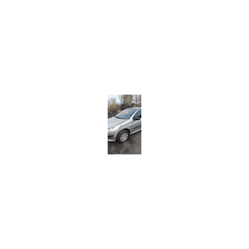 Poignee hayon PEUGEOT 206 PHASE 2 d’occasion