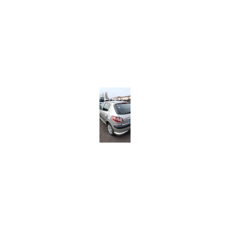 Poignee hayon PEUGEOT 206 PHASE 2 d’occasion