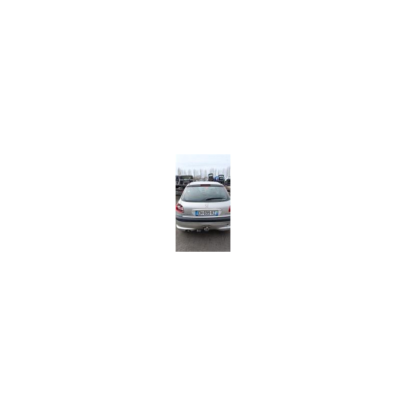 Poignee hayon PEUGEOT 206 PHASE 2 d’occasion