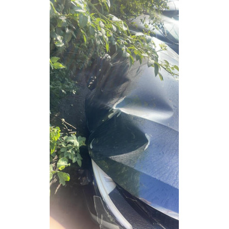 Tirant de porte arriere gauche RENAULT CLIO 5 d’occasion