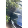Cremaillere assistee RENAULT CLIO 5 d’occasion