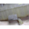 Vase d'expansion RENAULT KANGOO 2 PHASE 1 d’occasion