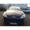Lumiere porte avant droit PEUGEOT 407 PHASE 1 d’occasion