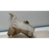 Vase de lave glace PEUGEOT 407 PHASE 1 d’occasion