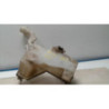 Vase de lave glace PEUGEOT 407 PHASE 1 d’occasion