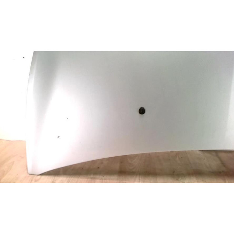 Capot RENAULT CLIO 3 PHASE 1 d’occasion