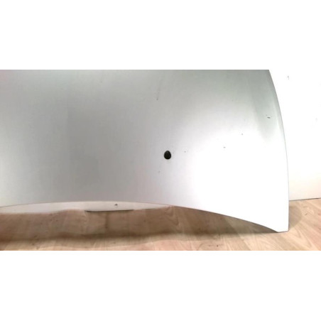 Capot RENAULT CLIO 3 PHASE 1 d’occasion