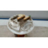 Pompe à carburant RENAULT MEGANE 1 PHASE 2 d’occasion
