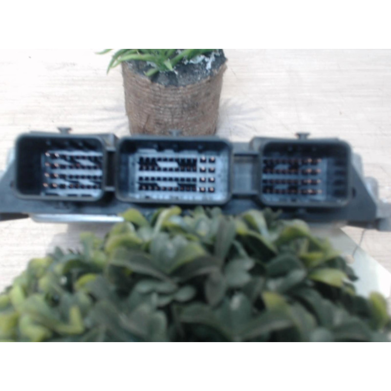 Calculateur moteur RENAULT GRAND SCENIC 2 PHASE 1 d’occasion
