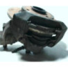 Bras de suspension superieur avant gauche CITROEN SAXO PHASE 1 d’occasion