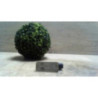 Eclairage de plaque FORD MONDEO 3 PHASE 1 BREAK d’occasion