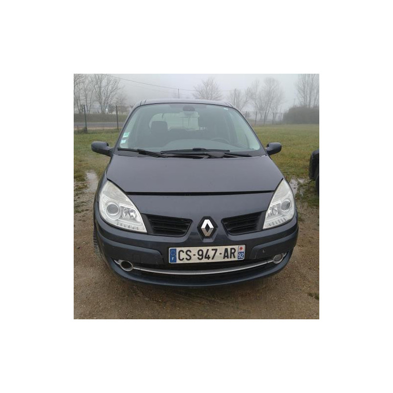 Eclairage de plaque RENAULT SCENIC 2 PHASE 2 d’occasion