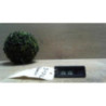 Eclairage de plaque SEAT LEON 3 PHASE 1 d’occasion