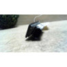 Eclairage de plaque SEAT LEON 3 PHASE 1 d’occasion