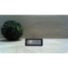 Eclairage de plaque RENAULT SCENIC 3 PHASE 1 d’occasion