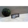 Eclairage de plaque RENAULT SCENIC 3 PHASE 1 d’occasion
