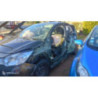 Baie de pare brise CITROEN C3 2 PHASE 2 d’occasion