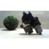 Moteur leve vitre arriere droit SEAT LEON 3 PHASE 1 d’occasion