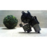 Moteur leve vitre arriere droit SEAT LEON 3 PHASE 1 d’occasion