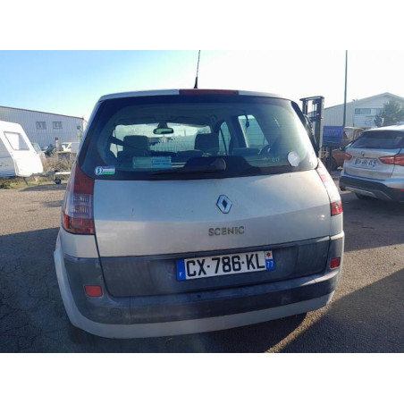 Baie de pare brise RENAULT SCENIC 2 PHASE 1 d’occasion