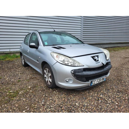 Baie de pare brise PEUGEOT 206+ d’occasion