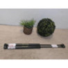 Verin de coffre RENAULT CLIO 1 PHASE 2 d’occasion