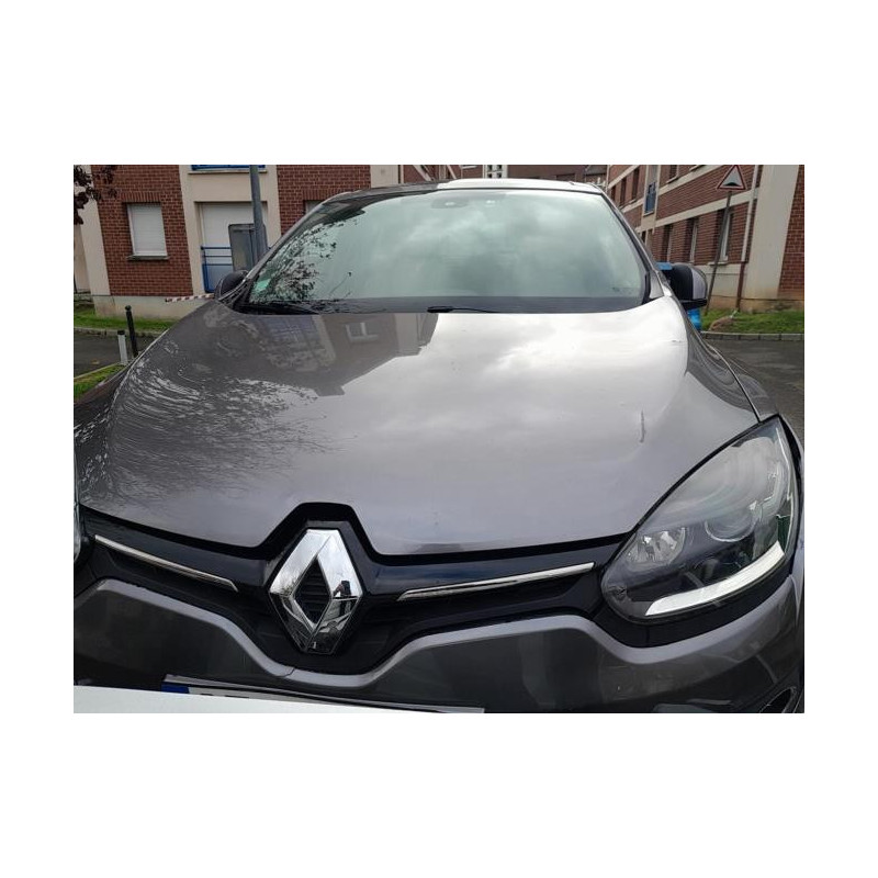 Disque arriere gauche (freinage) RENAULT MEGANE 3 PHASE 1 d’occasion